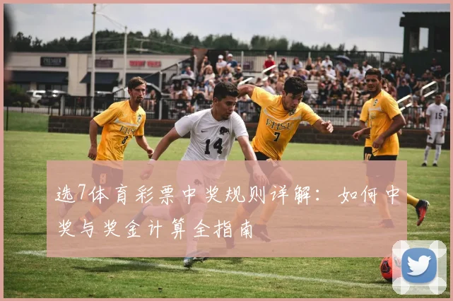 选7体育彩票中奖规则详解：如何中奖与奖金计算全指南