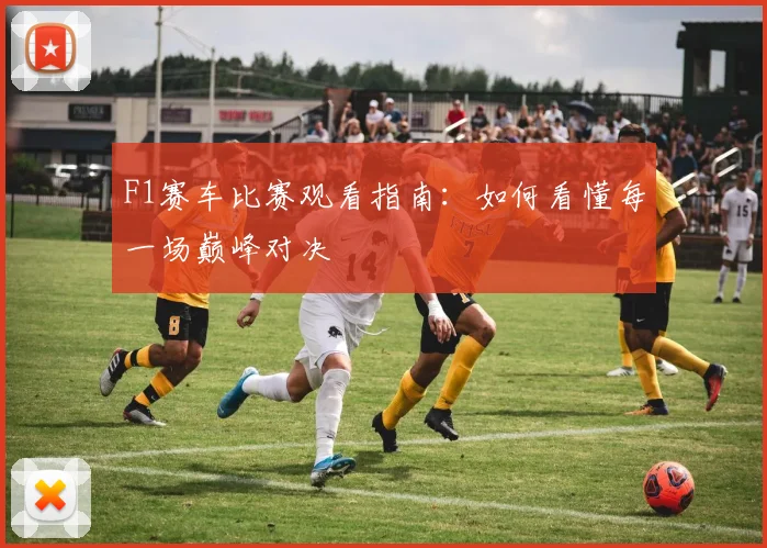 F1赛车比赛观看指南：如何看懂每一场巅峰对决