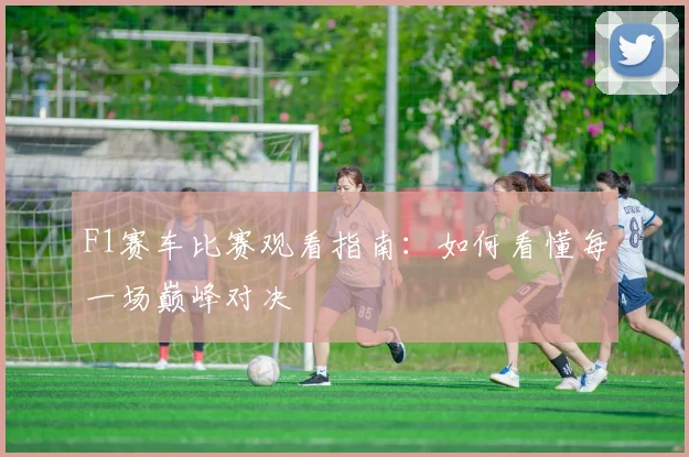 F1赛车比赛观看指南：如何看懂每一场巅峰对决